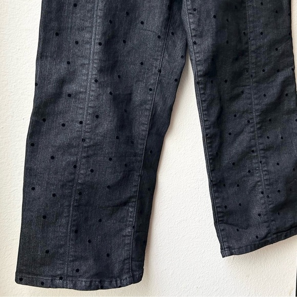 Pilcro and The Letterpress High Rise Wide Leg Polka Dot Jeans Sz 30 - Picture 8 of 15